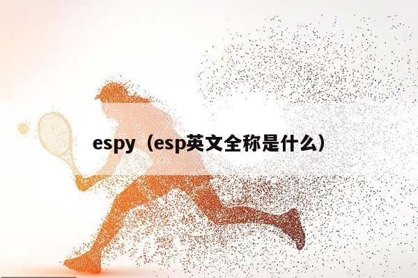 espy（esp英文全称是什么）插图