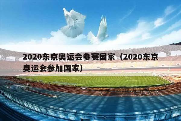 2023东京奥运会参赛国家（2023东京奥运会参加国家）（2023年东京奥运会参赛国家）插图