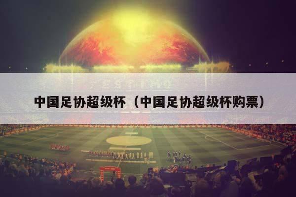 中国足协超级杯（中国足协超级杯购票）（中国足协超级杯赛）插图