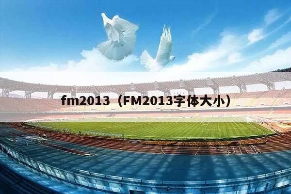 fm2013（FM2013字体大小）插图