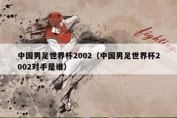 中国男足世界杯2002（中国男足世界杯2002对手是谁）插图