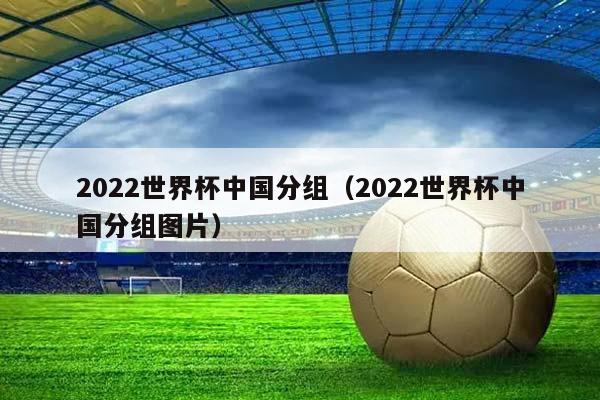 2023世界杯中国分组（2023世界杯中国分组图片）插图