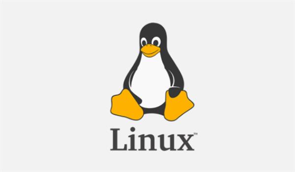 linux实施工程师工作内容(实施工程师linux必学命令)插图