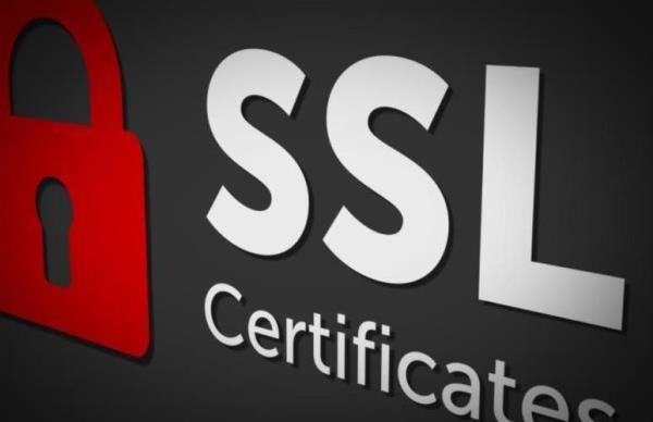 ssl数字证书是什么意思(ssl证书和数字证书)插图