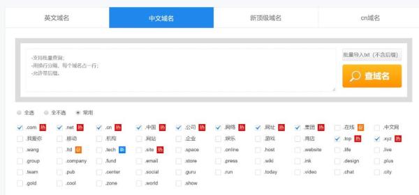 中文域名不好审核通过怎么办(中文域名不好审核通过怎么办呢)插图